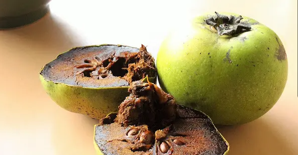 Buah black sapote, yang juga dikenal dengan nama Latin Diospyros nigra, atau kesemek hitam, berasal dari Meksiko dan Amerika Tengah