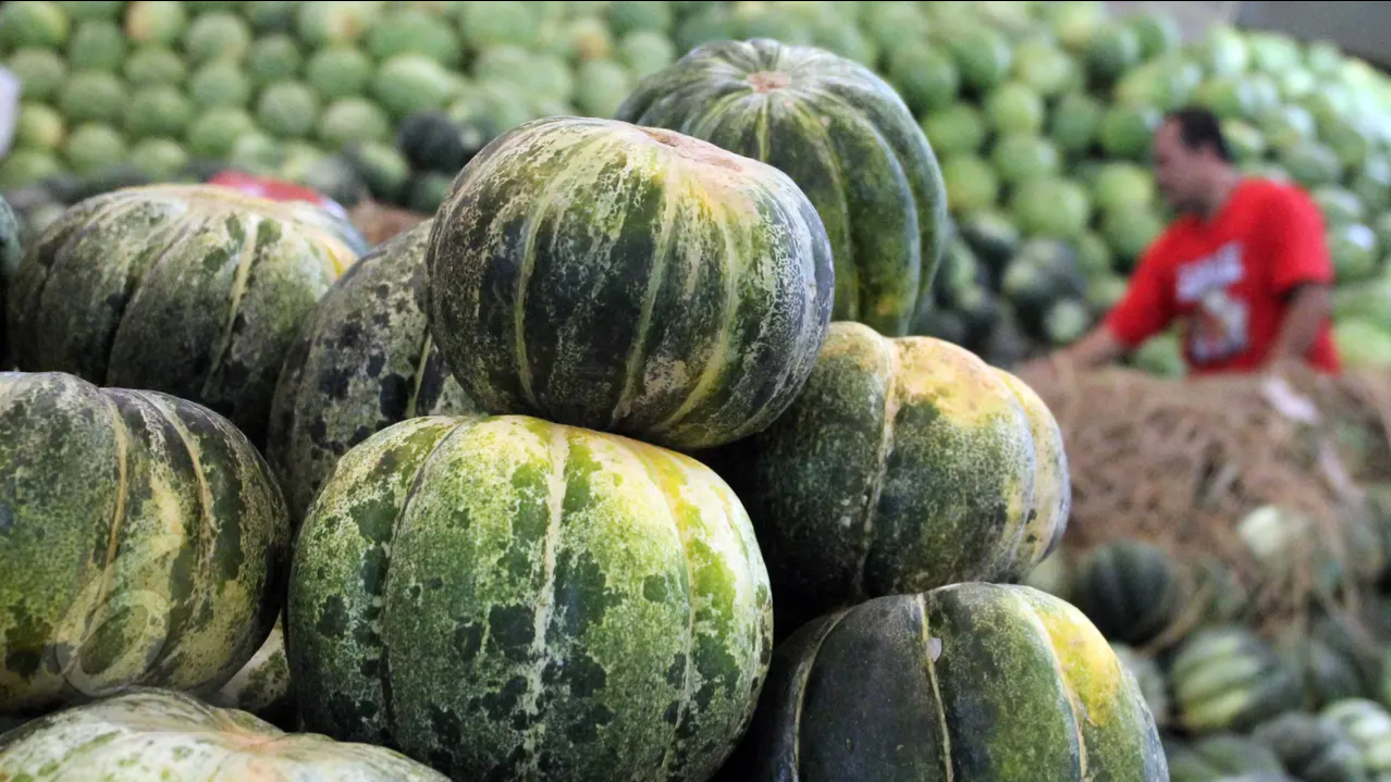 Blewah (Cucumis melo) adalah buah yang berasal dari keluarga labu dan termasuk kerabat dekat melon. Di Amerika Serikat, blewah sering disebut sebagai melon karena memiliki kemiripan dalam hal rasa dan tekstur